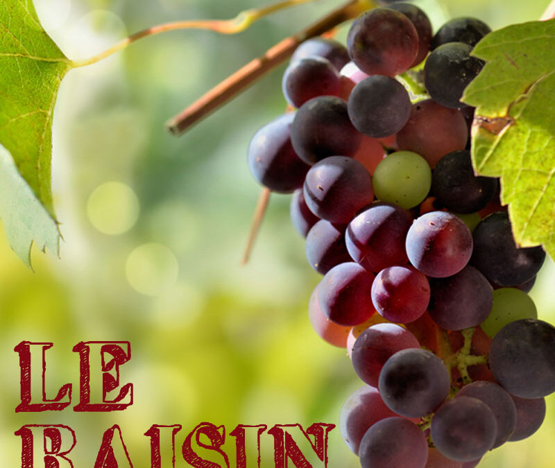 Le raisin