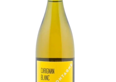 Carignan Blanc