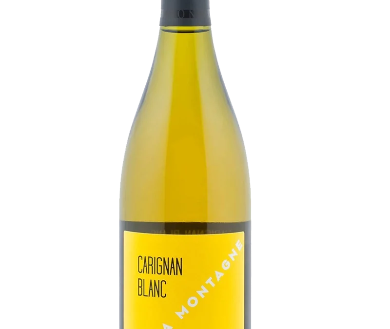 Carignan Blanc